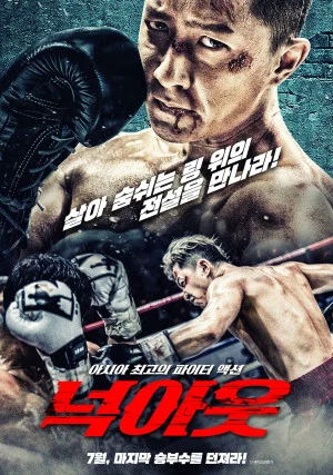 넉아웃