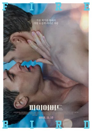 파이어버드