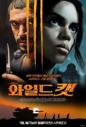 와일드캣